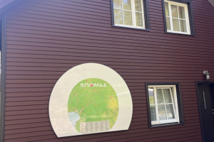 Värvimine 